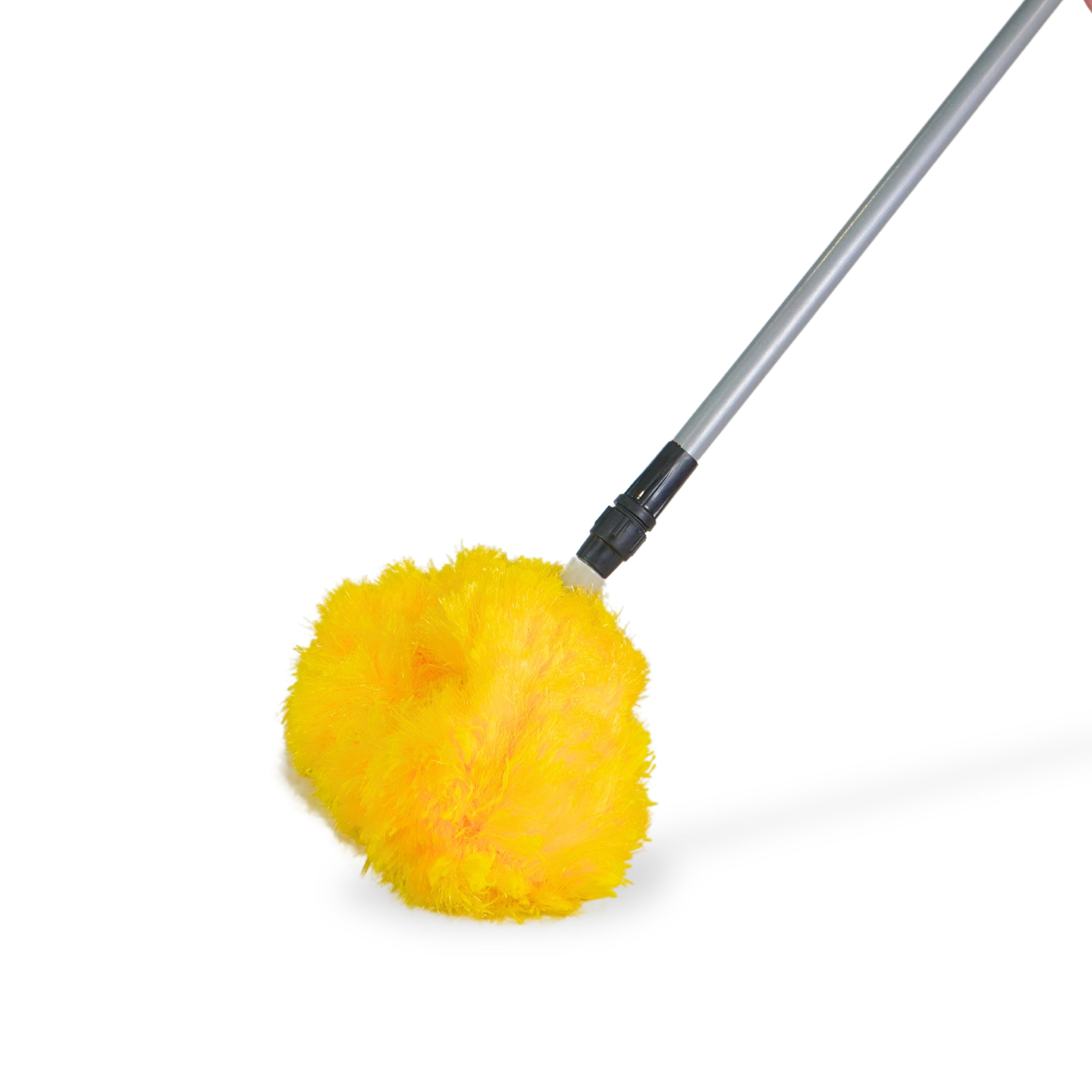 Fan Duster Main image